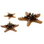 STARFISH SET WHITE 3pcs BIO46134