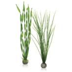 EASY PLANT SET - LARGE (GREEN) BIO46057