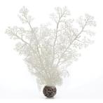 SEA FAN - MEDIUM (WHITE) 29cm BIO46070