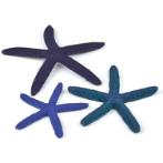 STARFISH SET BLUE - 3pcs BIO46143