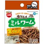 INSECT SPECIALITY MEALWORMS 40g ML163