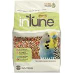 INTUNE PARAKEET 2lbs HG002451