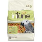 INTUNE PARROTS 3lbs HG002536