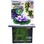 LITTLE GARDEN ROCK FLOATING PLANTS - PURPLE NAP521