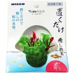 TABLE AQUA MOSS BALL - LARGE 2 NAP571