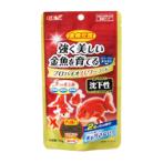 PRO-BIO GOLDFISH POWER FOOD - SINKING 70g GX034489