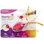 CRAZY CRUISER ELECTRIC MOTION WITH LIGHT WW010067