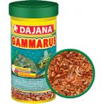 GAMMARUS 10g (100ml) DJN0DP201A