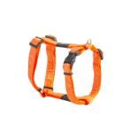 DRESS JELLYBEAN HARNESS - DOODLE(ORANGE) (SMALL) (23-37cm) RG0SJ01CP