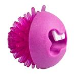 FRED TPR TREAT BALL (PINK) (MEDIUM) (6.4cm) RG0FR02K