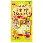 PUREE PAPAYA FLAVOUR 10g x 5pcs ML188