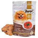 SINGAPORE DELIGHT CHICKEN COIN BAK KWA 100g (TREATS OF PAWRADISE) YTY097921