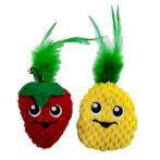STRAWBERRY & PINEAPPLE WITH FEATHER (2pcs) IDS0WB25123