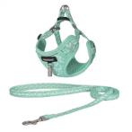 DOG HARNESS WITH LEASH (TURQUOISE) (10mmx22-32cm) BWDG3793