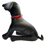 DOG COLLAR-SUN & WAVE (RED) (SMALL) (10mmx20-30cm) BWDC2101RDS
