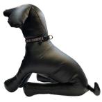 DOG COLLAR - SUN & WAVE (BLACK) (SMALL) (10mmx20-30cm) BWDC2101BKS