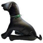 DOG COLLAR - SUN & WAVE (GREEN) (SMALL) (10mmx20-30cm) BWDC2101GNS