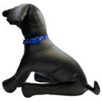 DOG COLLAR - DIAMOND (BLUE) (SMALL) (10mmx20-30cm) BWDC2102BUS