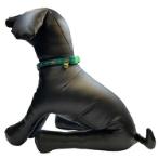 DOG COLLAR - DIAMOND (GREEN) (SMALL) (10mmx20-30cm) BWDC2102GNS
