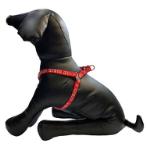 HARNESS-SUN & WAVE (RED) (10mmx25-35cm) BWDH2101RDS
