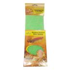 PHOSPHATE REDUCTION FILTER SPONGE MA02-2