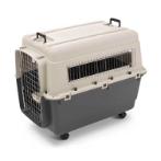 ANDES 5 CARRIER IATA  (IVORY/GREY) (80x56x59cm) SV0328000AI