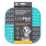 SLOMO TURQUOISE LM3001TQ-DR