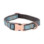 URBAN COLLAR (TURQUOISE) (MEDIUM) (26-40cm) RG0HB275TM