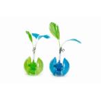 PLAST CAT TOY ROLLY BOLLY DISP (5cm)(1pc) BT0430368