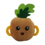 FOREST CATNIP TOYS- PINEAPPLE (8x7x2cm) BWAT6067