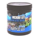ML KH BIO- ACTIVE BOOSTER (8.8oz) ML-CABSM