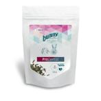 HEALTY FOOD PRODENTAL 800g BN12076
