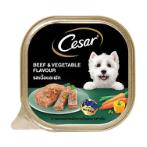 BEEF & VEGETABLE 100 g 8403029