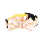 DOG COLLAR WITH LEASH-YELLOW/ ORANGE STRIPE (MEDIUM) (2x45-55cm) HTY0YJ2206030M