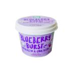 ICE CREAM FOR DOGS & CATS - BLUEBERRY BURST 3.5oz ICBB