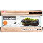 GLASSTERIA FIT 200 LOW L20XW10XH10cm GX038401