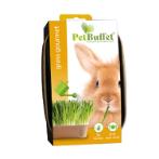 PET-BUFFET-GOURMET RABBIT HARVEST(3pcs) HBV018050540