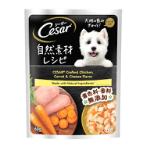 POUCH CHICKEN CARROT AND CHEESE FLAVOR 60g 101230073