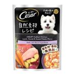 POUCH CHICKEN LAMB CARROT AND SWEET POTATO FLAVOR 60g 101230074