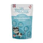 POUCH ATLANTIC SALMON 85g FC0PCHC85S