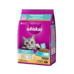 ADULT INDOOR FORMULA 1.1kg 101242020