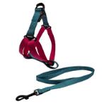 DOG HARNESS WITH LEASH (PINK/ BLUE) (2x120cm) JNPJNBO122320PNK