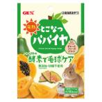 FREEZE DRIED PAPAYA CHIPS 5g GX043771