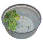 KILLIFISH PLASTIC BOWL GRANITE 42CM GX042958