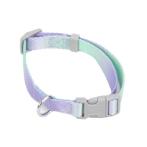 DOG COLLAR GRADIENT (GREEN/ PURPLE) (25-40x1.5cm) JNPBO1238C15GNPU