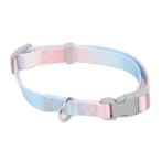 DOG COLLAR GRADIENT (BLUE/ PINK) (25-40x1.5cm) JNPBO1238C15PUPK