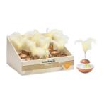 FUN TUMBLER TOELOES (BROWN) (9x9x16cm) BT0430575