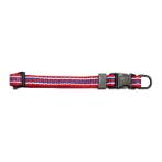 DOG COLLAR - STRIPE (RED/ BLUE) (10mmx20-30cm) BWNCD1101RB