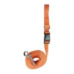 LEASH - 4WAYS HANDSFREE (ORANGE) (20mmx250cm) BWNDL2409L4OG