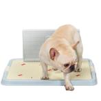 TOILET TRAY WITH WALL (BLUE) (52x40x68cm) JNBP130A